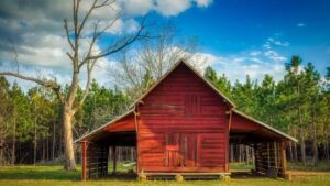 Sussex County Farms